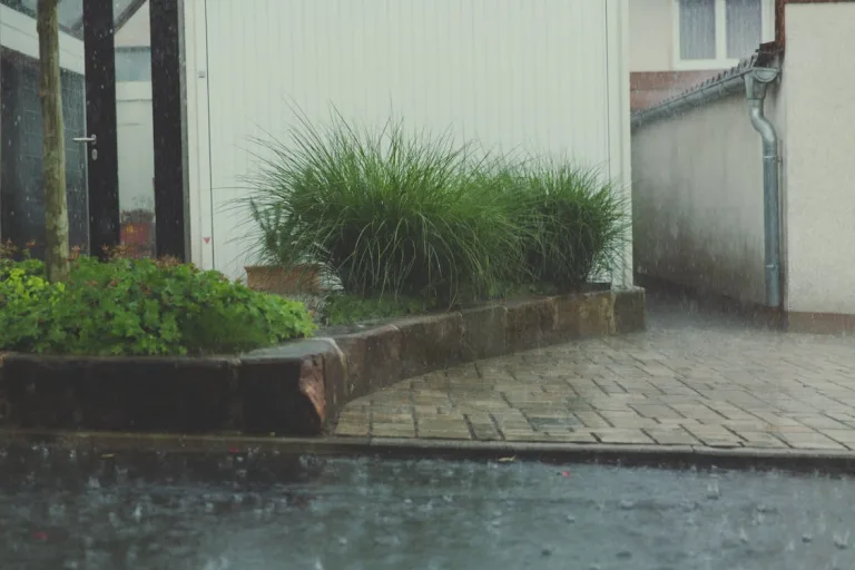 Essential Exterior Upgrades to Protect Your Home from Water Damage