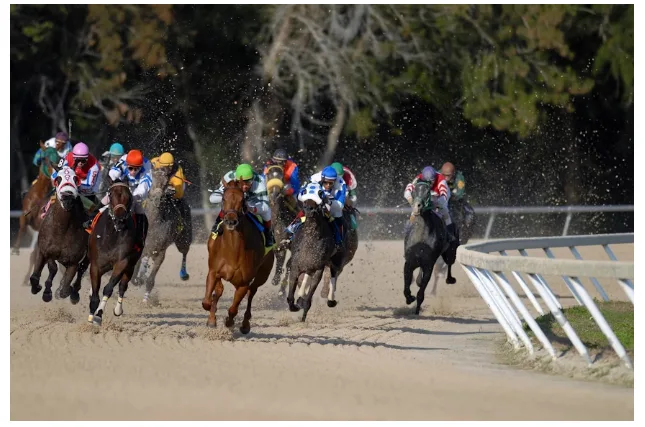 2025 Amsterdam Stakes Betting Insights: Trends to Watch Out For