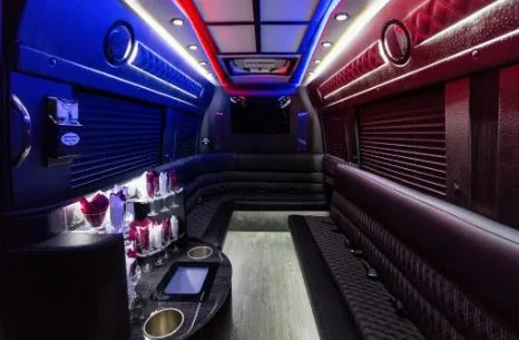 The Ultimate Mississauga Party Bus Experience: Comfort, Style, and Fun