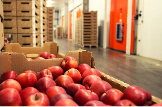 CFIA Regulations for Importing Food Products into Canada