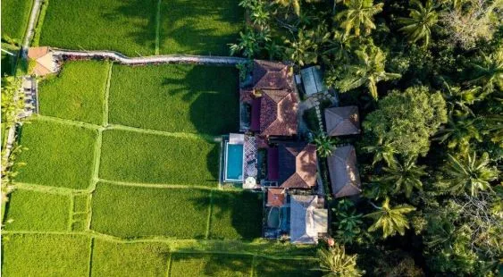Firefly Retreat Launches Affordable Yoga Retreats in Bali, Emphasizing Wellness and Connection