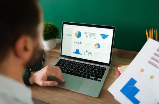Maximizing ROI with Paid Search Strategies