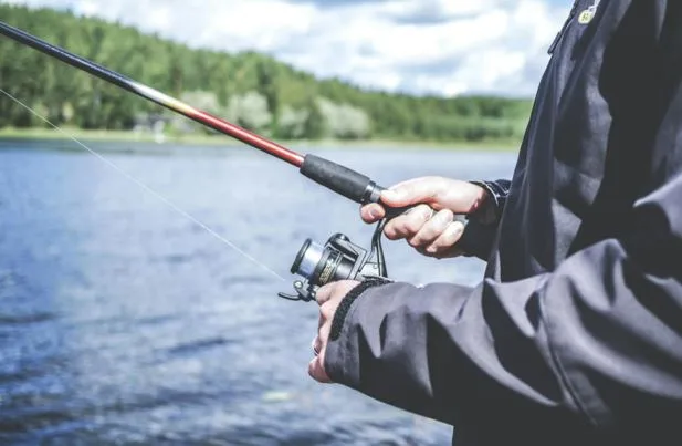 Elk Hair Caddis: A Simple Guide To Fishing With This Dry Fly