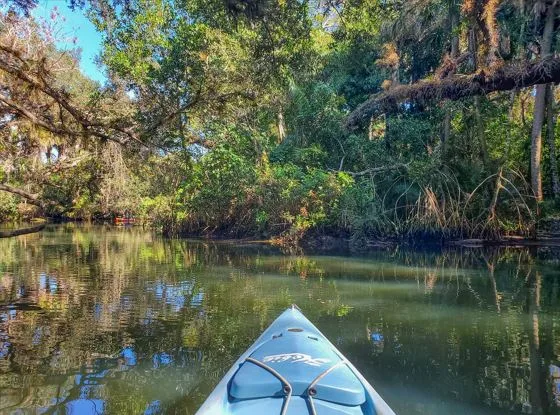 Hidden Gems to Explore on Florida’s Nature Coast