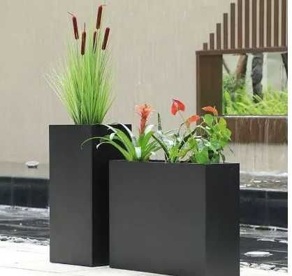Choosing the Perfect Flower Pot for Every Plant