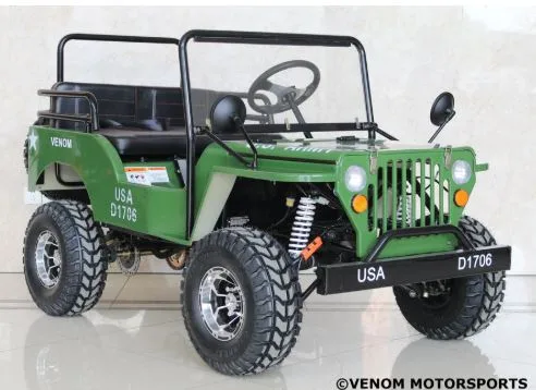 Mini Jeep 125cc Review Why Kids and Teens Love This Off-Road Ride