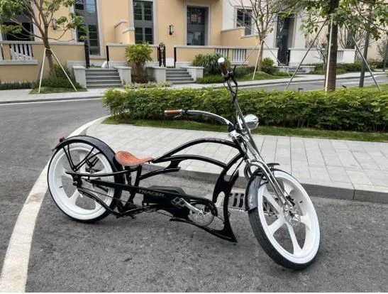 Tracer Raptor Pro DS 800W: The Ultimate Cruise Companion Leading the New Trend of Electric Cycling