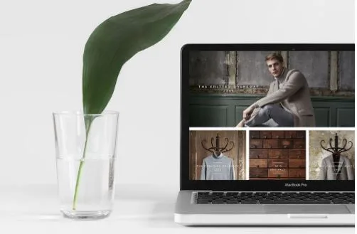 Local, Fast, and Future-Proof: What to Expect from Web Design in South Carolina in 2025