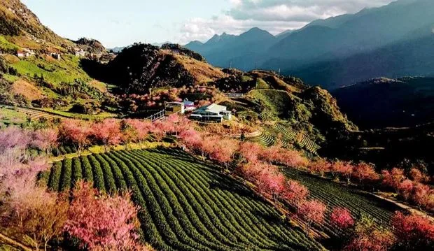 Northern Vietnam Seasons: Best Time to Visit & Weather Travel Guide