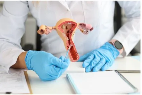What Are the Pros and Cons of Uterine Fibroid Embolization?