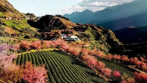 Northern Vietnam Seasons: The Best Time to Visit and Weather Travel Guide