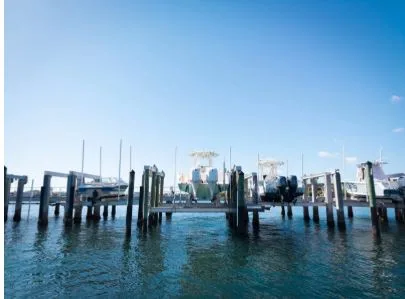 How Dredging Companies Near Florida Help Maintain Ecosystems