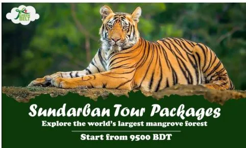 Why Choose Greenbelt Sundarban Tour Package – A Travel Guide for Adventure Lovers