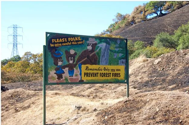 How Jean-Pierre Conte Supports Community Fire Protection