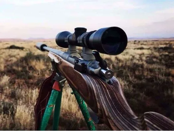 5 Best Hunting Rifles for First-Time Hunters in North Hampton, NH