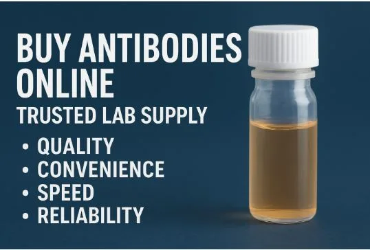 Buy Antibodies Online | Trusted Lab Supply