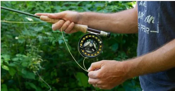 Fly Fishing Line Unraveling the Secrets