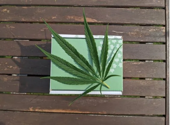 Proven Facts About Cannabis Delivery That Make It Easy and Safe