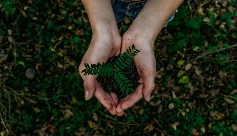 4 Eco-Conscious Lifestyle Choices That Make A Real Difference