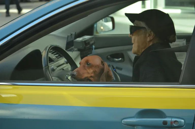 70+ and Driving. A Practical Guide on Driving Safely as a Senior