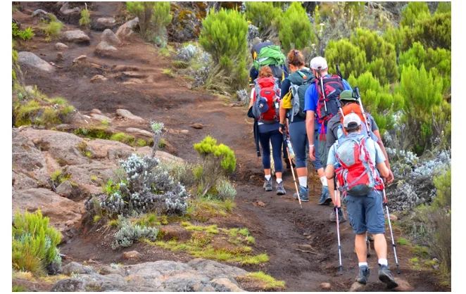 How to Prepare for Your Mount Kilimanjaro Trekking Adventure: