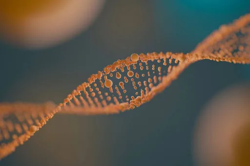 Genetic Tests of the Future: How InheriNext Helps Doctors Save Lives