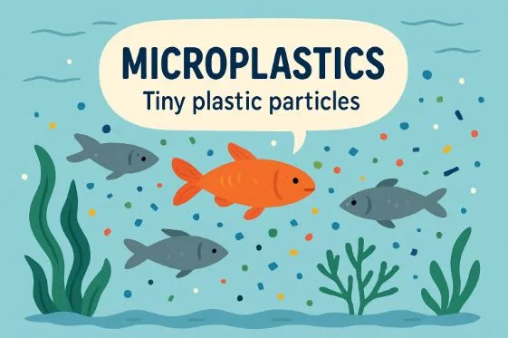 How Microplastics Shape the Future of Environmental Safety