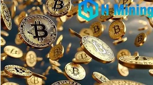 By the end of 2025, everyone should know the best way to increase wealth.