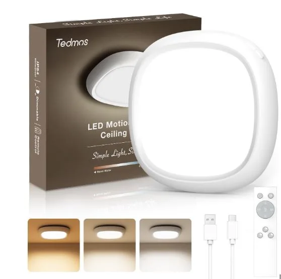 Modern Rechargeable Ceiling Light for Home & Office Portable Power Solution