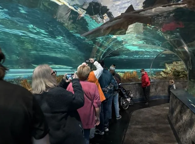 Why Kids Remember the Little Things on Trips More Than the Big Attractions