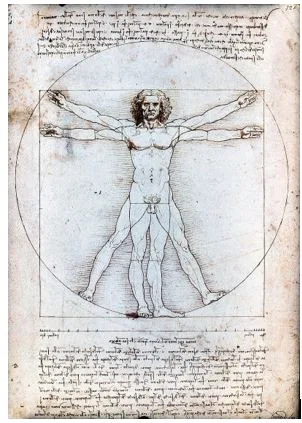 The Mathematics of the Human Body: Where Numbers, Nature and Art Converge
