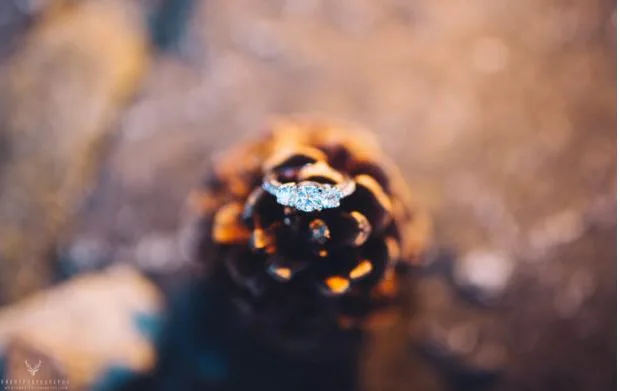 Find Your Perfect Kelowna Wedding Photographer: A Complete Guide