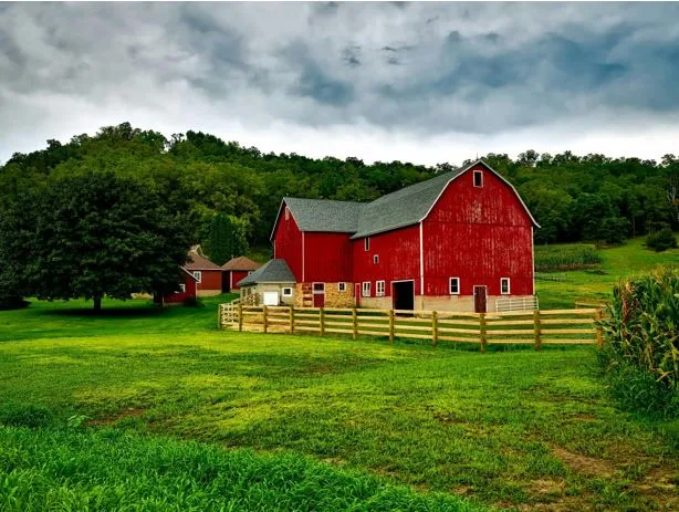 From Farm to Table: How Businesses Are Redefining Quality in the Food Industry