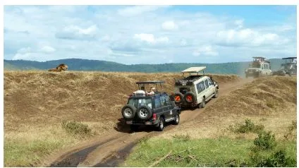 Exploring Tanzania Made Easy with 4×4 Rental, Dodoma & Mwanza Cars: