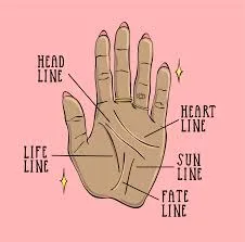 How to Read Palm Lines: Discover What Your Hands Reveal About You with Ceerly