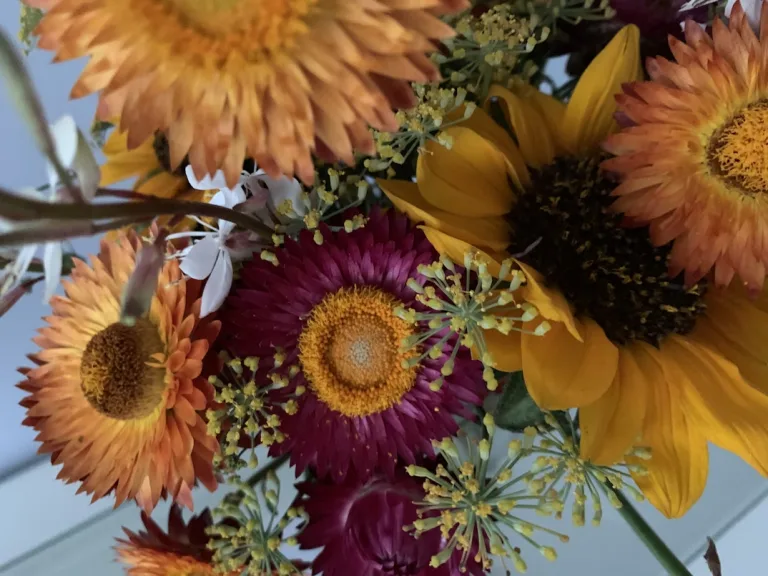 Flower Delivery: Connect Globally with Canada