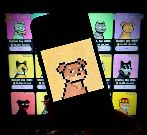 BarkMedia Founders Forge Global Digital Ecosystem Connecting Media, Finance, and Culture