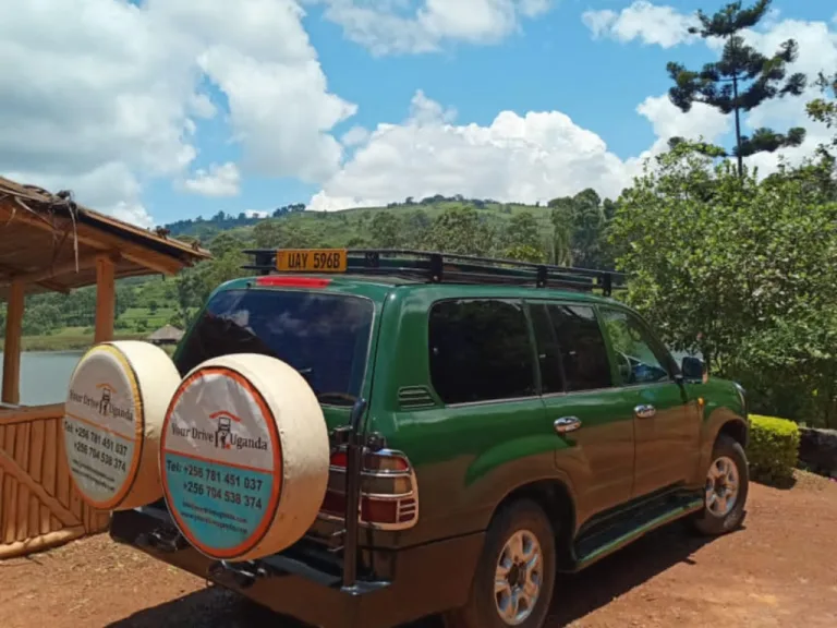 4 Types of Local Food to Enjoy in Uganda and Kenya on a Self-Drive:
