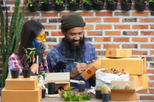 Where To Buy Kanna: A Simple Guide For New Buyers