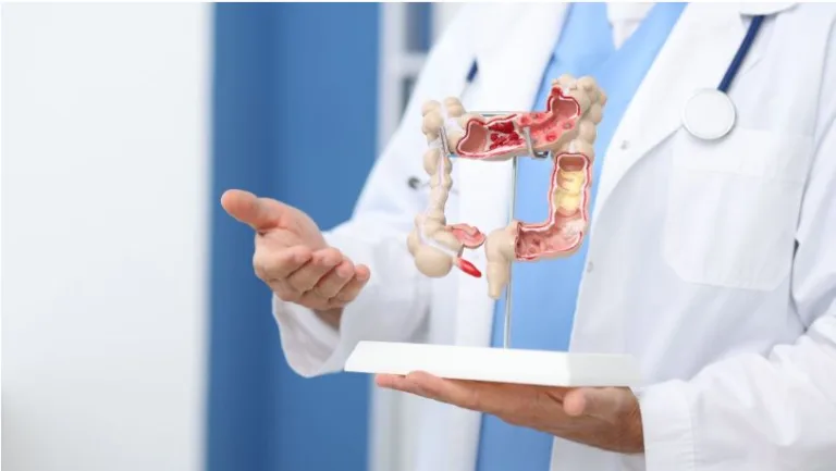 Foundations and Scope of Gastroenterology