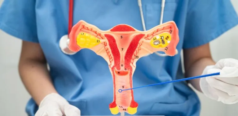 Comprehensive Gynecology and Women’s Health Solutions