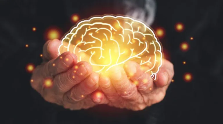 Neurology Nervous System Care and Advances