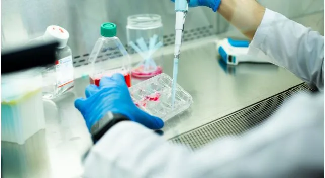 Stem Cell and Your Complete Guide to Regenerative Medicine