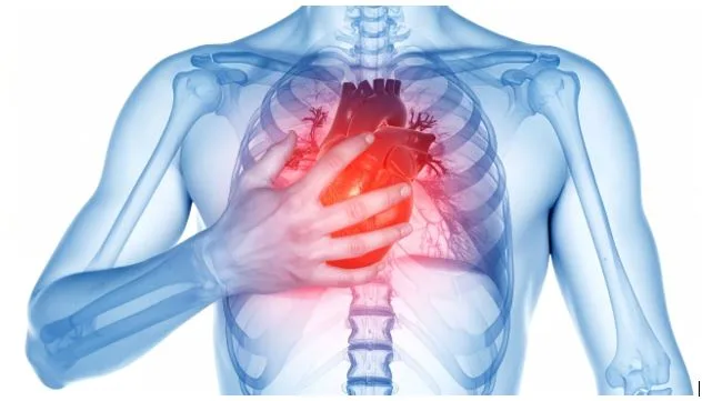 Explain Cardiology and Heart Health Essentials