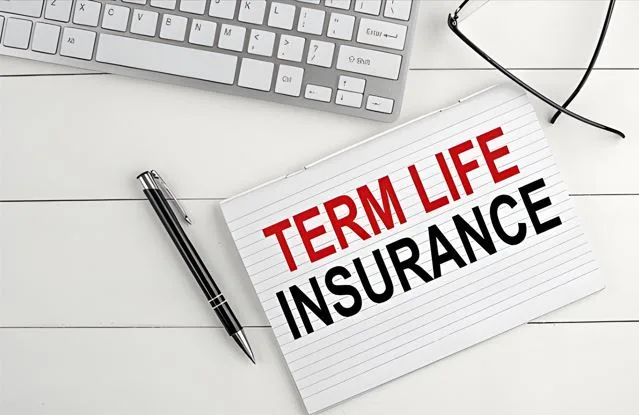 Why Term Life Insurance Plans Are Budget-Friendly