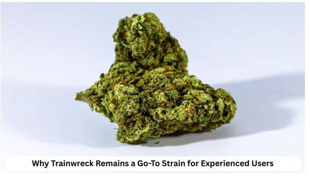 Why Trainwreck Remains a Go-To Strain for Experienced Users