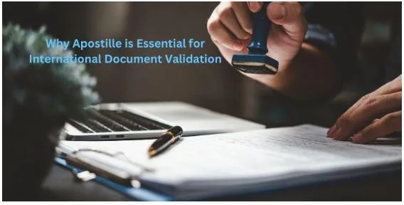 Why Apostille is Essential for International Document Validation