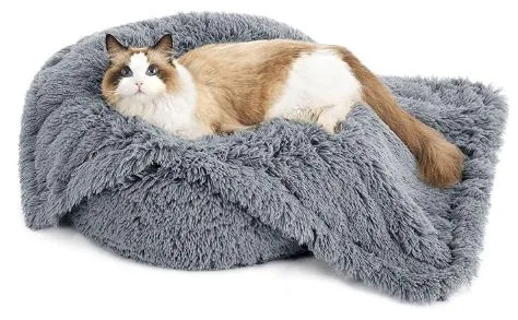 Discover the Benefits of Pet Blankets for Dogs and Cats