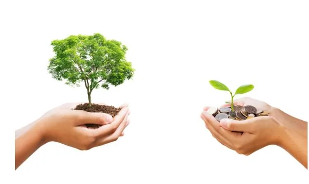 SIP vs. Lump Sum: Deciding the best approach for your mutual fund investments