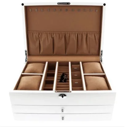 Elevate Your Precious Collection with Aevitas Jewellery Boxes in 2025